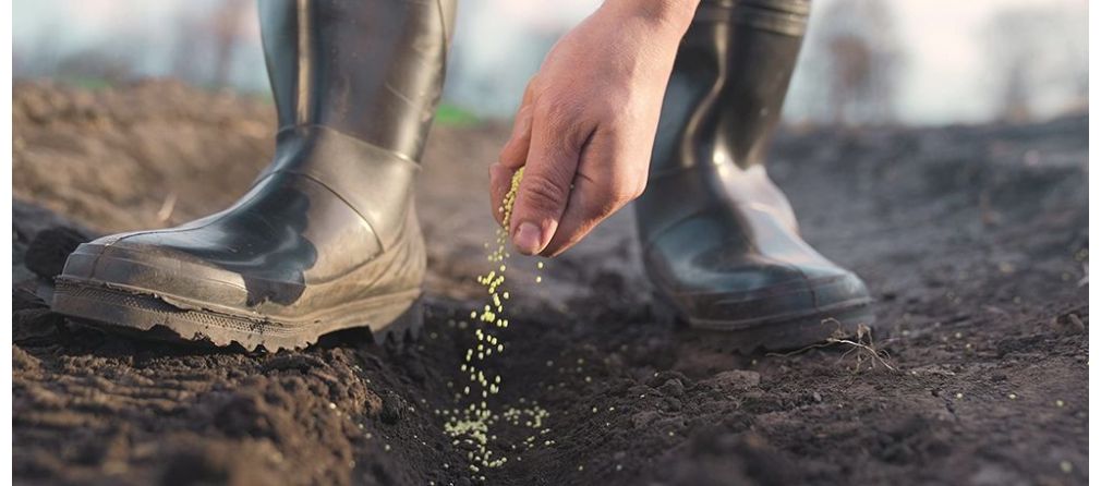 Meest gemaakte fouten bij het bemesten van je tuin