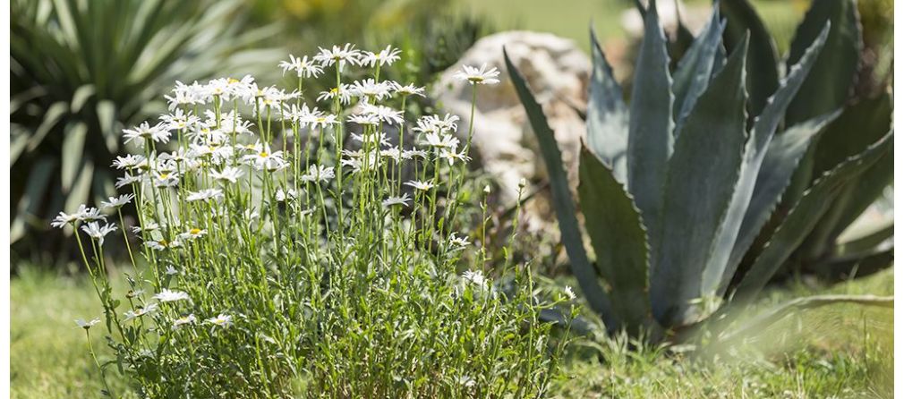 Tuin op het zuiden