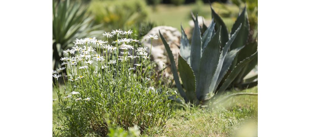 Tuin op het zuiden